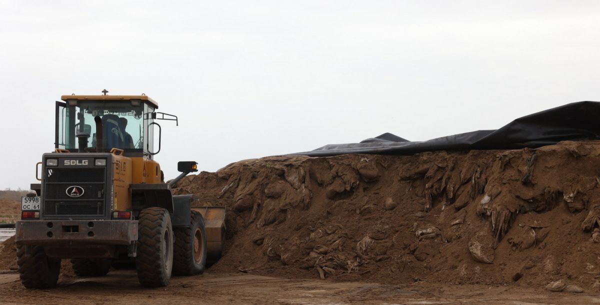 Landfill in Semikarakorsk district. Photo: https://www.donland.ru/