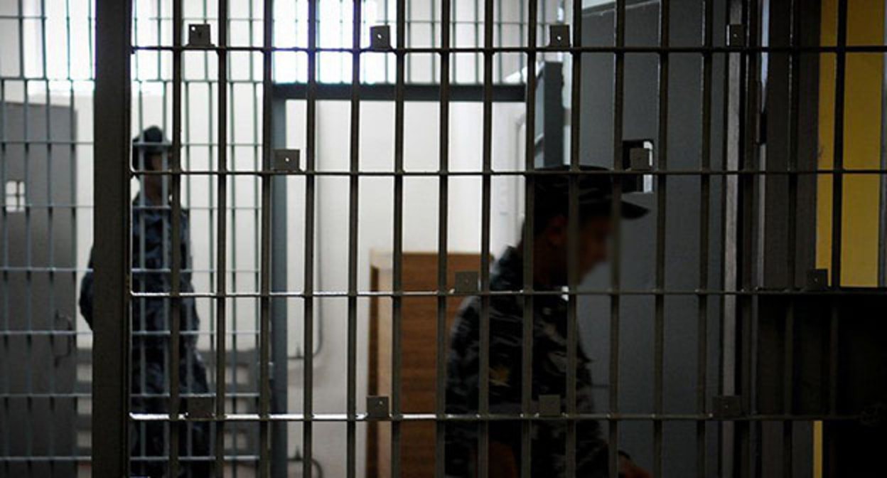 Colony. Photo: Elena Sineok. "YUGA.ru"