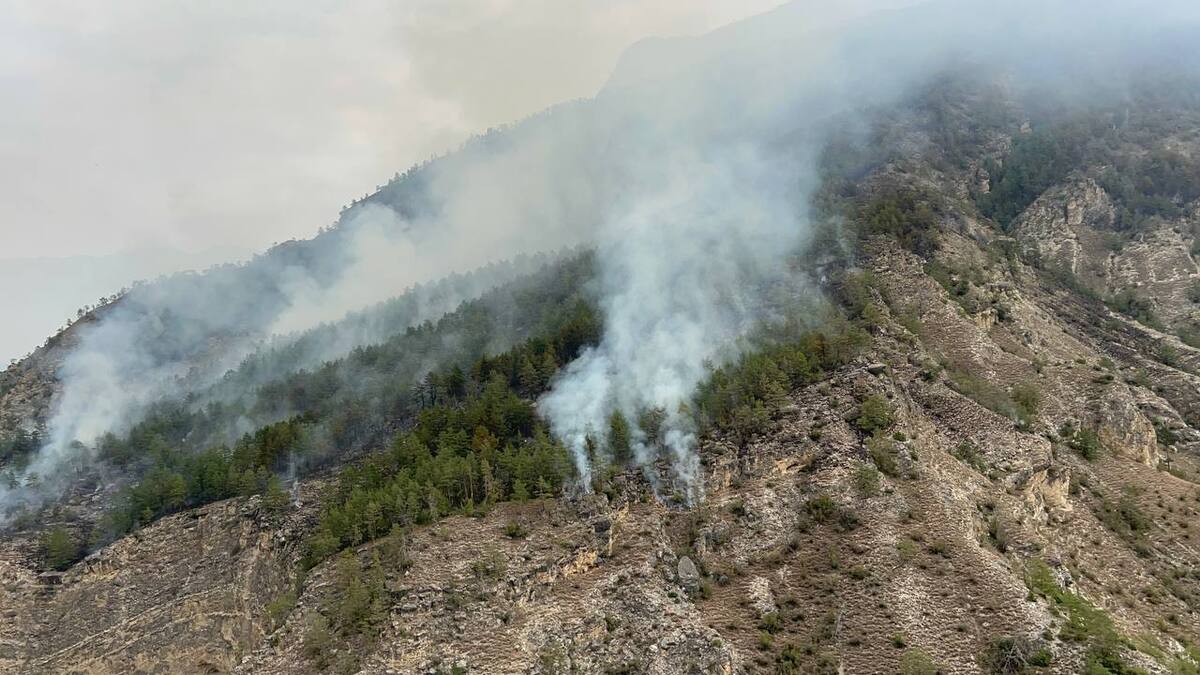 Forest fire in Untsukulsky district. September 3, 2025. Screenshot of video https://news-dagestan.ru/society/2025/09/03/38894.html