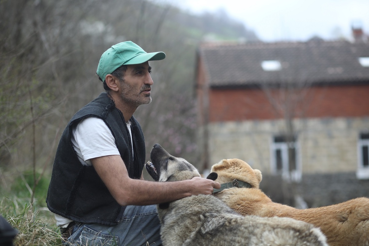 Elkhan Mirzoyev. Photo: https://www.meydan.tv/ru/article/kak-zhivetsya-brodyachim-sobakam-v-azerbajdzhane/