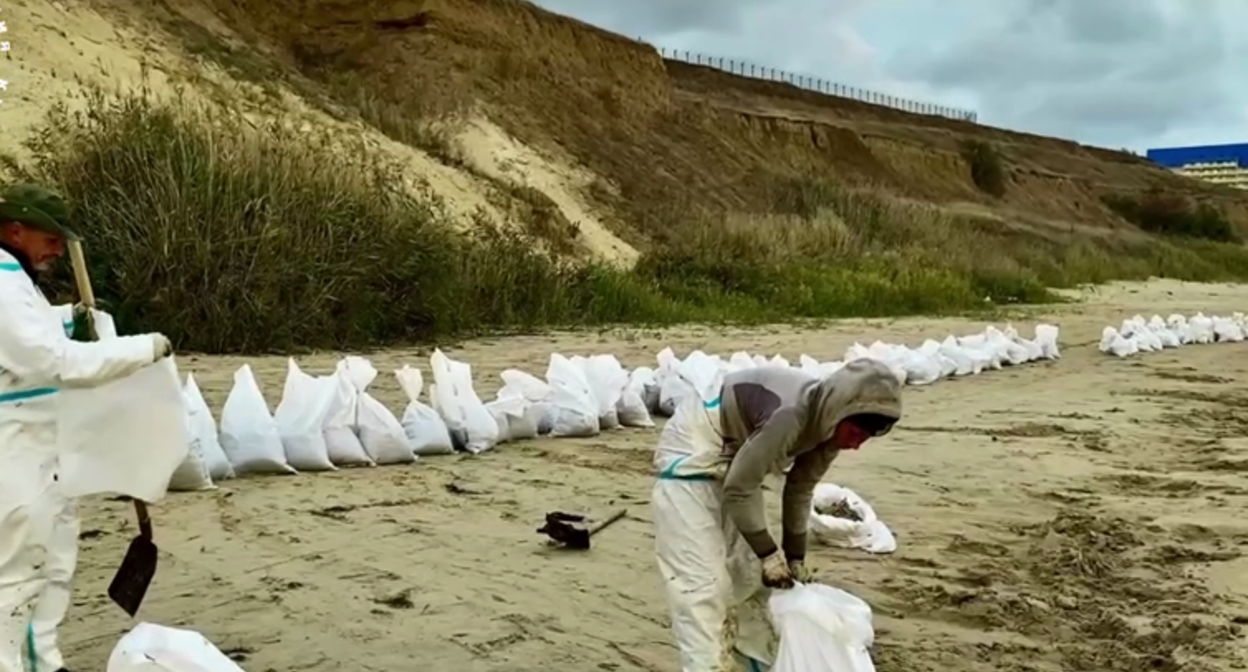 Volunteers in front of collected bags of fuel oil. Still from a video by the Dolphins headquarters from August 19, 2025, https://t.me/shtab_delfin/1305