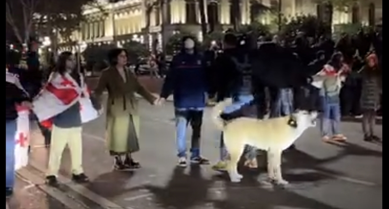 Protesters on the roadway of Rustaveli Avenue, November 3, 2025. Still from Publika video