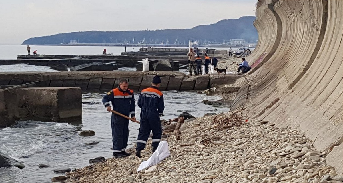 Shoreline cleanup in Tuapse. Photo from Sergey Boyko's Telegram channel https://t.me/glavatuapseregion/4299