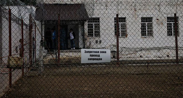 Colony. Photo: Elena Sineok / Yuga.ru