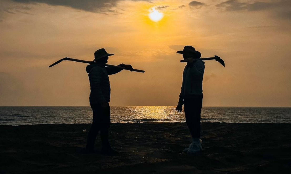 Volunteers on the seashore. Screenshot of a photo from the "Network, Sieve, Shovel" headquarters from November 26, 2025, https://t.me/setisitolopata/2017