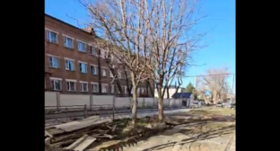 Trees on Liza Chaikina Street are scheduled to be cut down. Still from Aigum Gitinov's video from December 18, 2025.