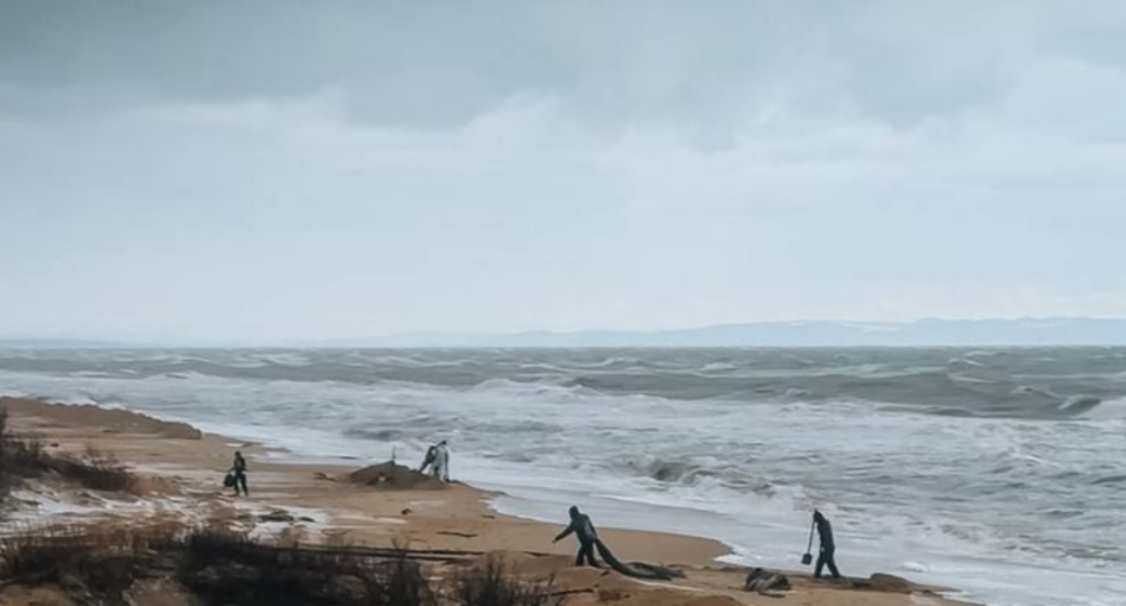 Cleaning nets on the Bugayskaya Spit. Screenshot of the photo "Nets, nets, shovel" from January 2, 2026, https://t.me/setisitolopata/2195?single.
