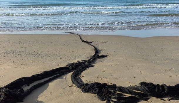 Nets remaining on the shore. Screenshot from Max Anapskii's Telegram channel, January 6, 2026, https://t.me/maksanapskii/14923.