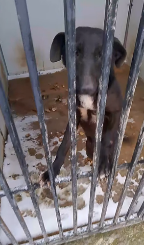 Video still from the Derbent shelter. Photo: derbent.ecolife / Instagram