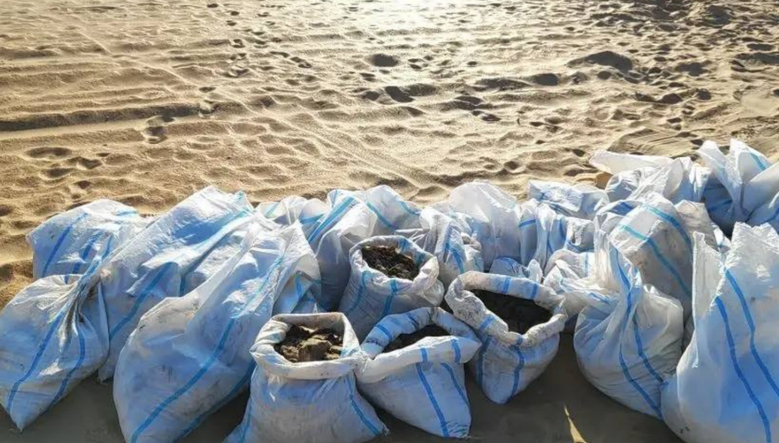 Collected bags of fuel oil. Screenshot from a photo by "SSL Volunteers" from March 14, 2026, https://t.me/setisitolopata/2695 Collected bags of fuel oil. Screenshot from a photo by "SSL Volunteers" from March 14, 2026, https://t.me/setisitolopata/2695