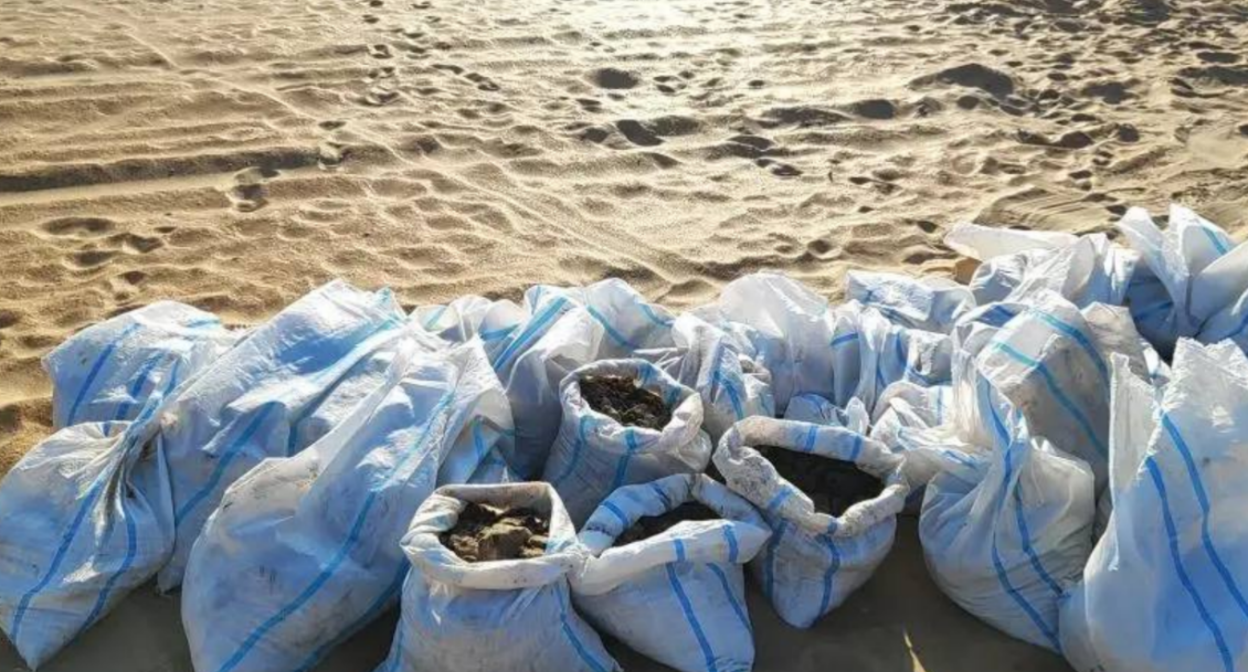 Collected bags of fuel oil. Screenshot from a photo by "SSL Volunteers" from March 14, 2026, https://t.me/setisitolopata/2695 Collected bags of fuel oil. Screenshot from a photo by "SSL Volunteers" from March 14, 2026, https://t.me/setisitolopata/2695