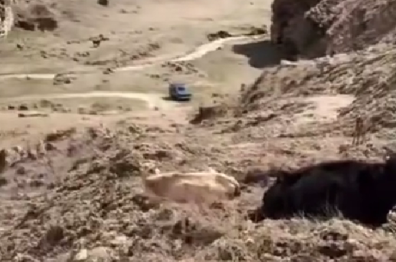 A blocked road to the village of Guimi. Still from video: https://www.instagram.com/p/DW_alk2DH5d/ (Meta, the company that owns the social network, is banned in Russia).