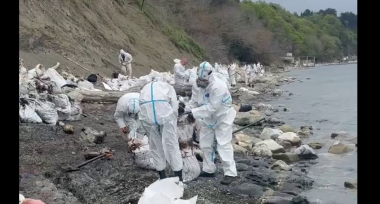 Volunteers clean the beach in Tyumen. Still from Roman Pukalov's Telegram channel, May 1, 2026, https://t.me/Roman_eco/1646