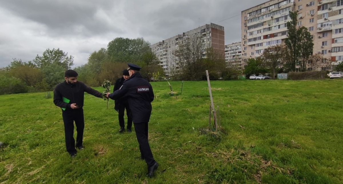 Police officers take a report of the destruction of green spaces in the Yubileiny microdistrict. Krasnodar, May 2, 2026. Photo from the "Krasnodar UMR" Telegram channel https://t.me/KrasnodarUMR/25034
