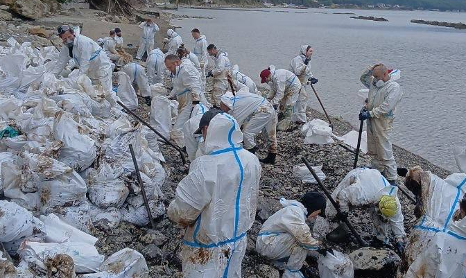 Volunteers clean the beach in Tuapse. Screenshot from the Dolphins headquarters Telegram channel, May 2, 2026, https://t.me/shtab_delfin/2580