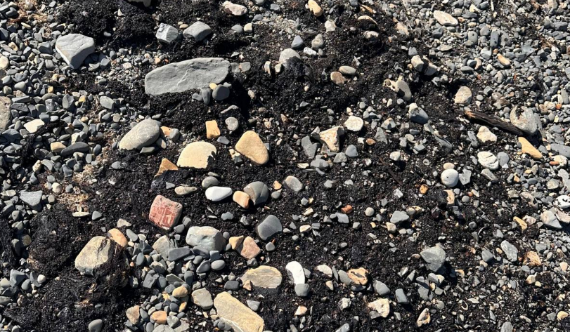 Pollution on the beach near the Elektron sports camp. https://t.me/razlivnasvyazi/1106/331235