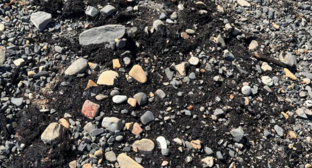 Pollution on the beach near the Elektron sports camp. https://t.me/razlivnasvyazi/1106/331235