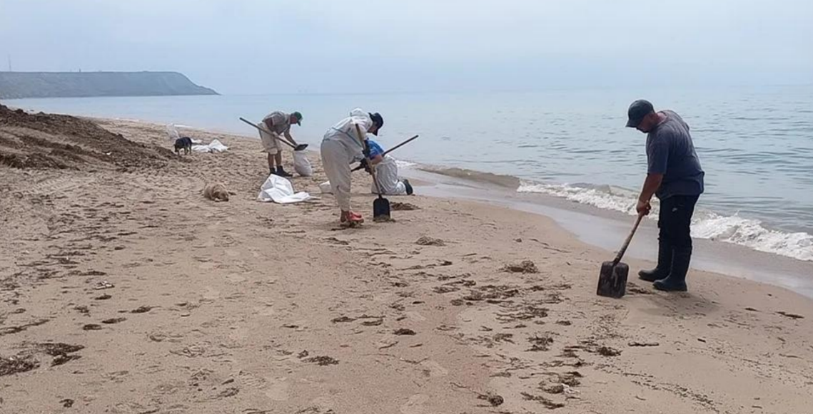 Cleaning up a fresh oil spill on the beach in the village of Volna. Screenshot from the "Dolphins" headquarters photo from May 23, 2026, https://t.me/shtab_delfin/2745.