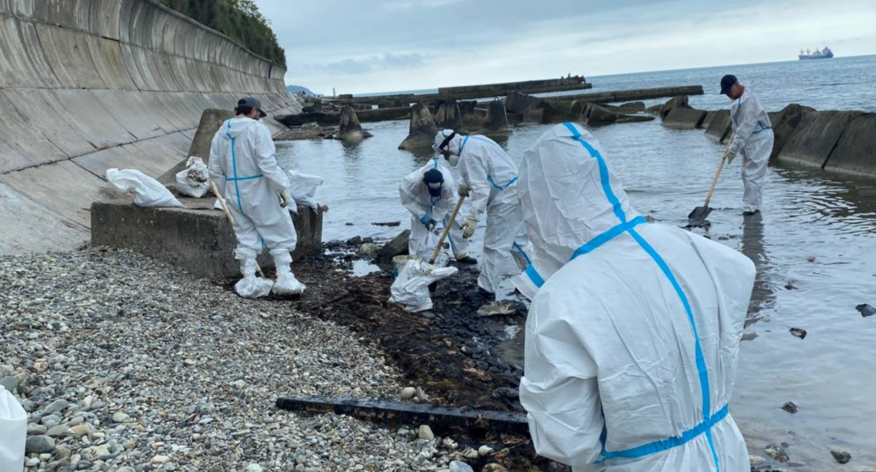 Beach cleanup in Gizel Dere. Screenshot from the Gizel Dere headquarters Telegram channel, May 22, 2026, https://t.me/GizelDere_shore/65/621