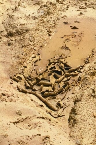 Frame: Social media users posted the state of Anapa beaches after they were filled with new sand. Photo: MAKOVOZOVY / Telegram channel Frame: Social media users posted the state of Anapa beaches after they were filled with new sand. Photo: MAKOVOZOVY / Telegram channel
