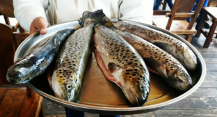 Fish. Screenshot from https://exportarmenia.am/most-popular-armenian-products/.