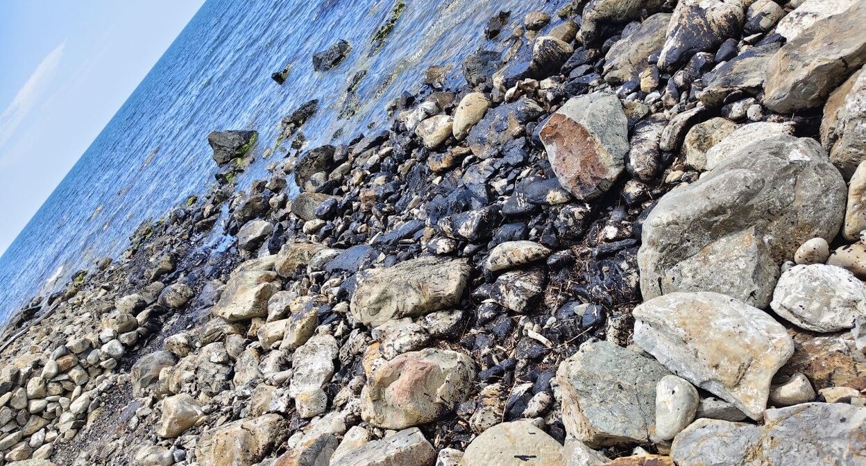 Fuel oil on the shore. Screenshot from the post: https://t.me/my_tuapse/36527?comment=984003