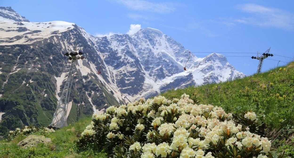 Resort "Elbrus". Photo: resort administration https://resort-elbrus.ru/news/84/novosti-13 Resort "Elbrus". Photo: resort administration https://resort-elbrus.ru/news/84/novosti-13