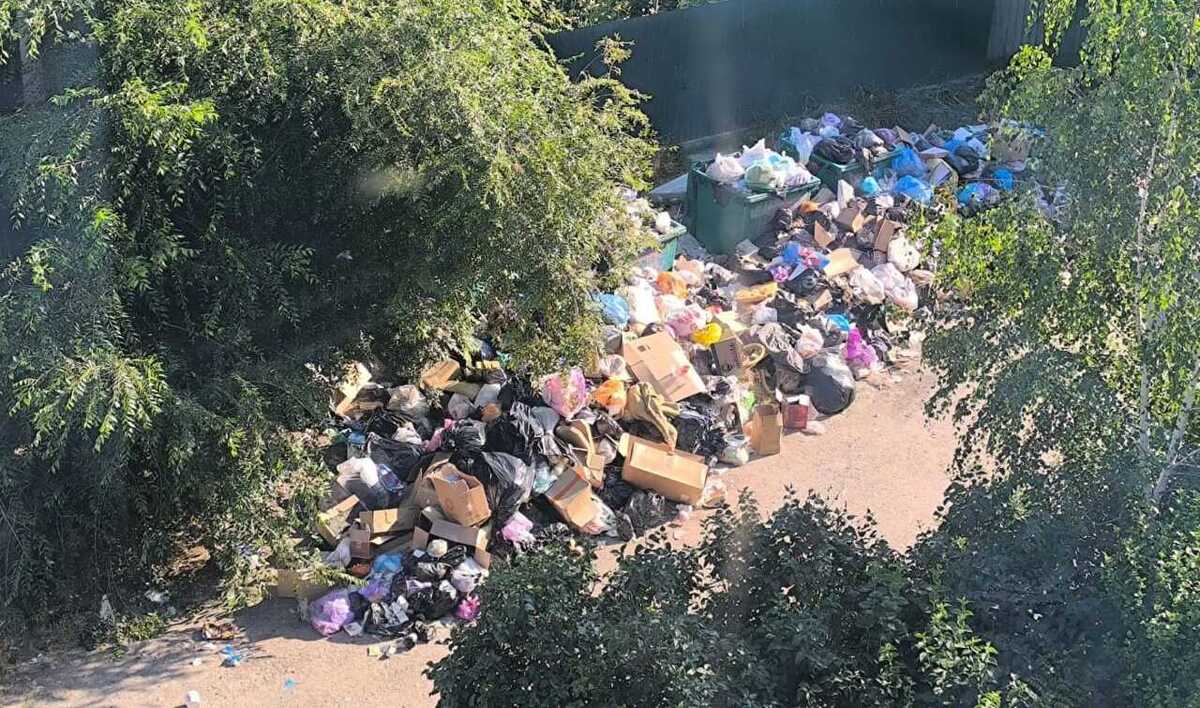 A dump under the windows of an apartment building. Photo provided to "Caucasian Knot" by local residents.