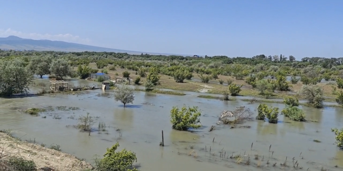 Erosion of the banks of the Sulak River. Frame from a video by the administration of the Kizilyurt district / Telegram