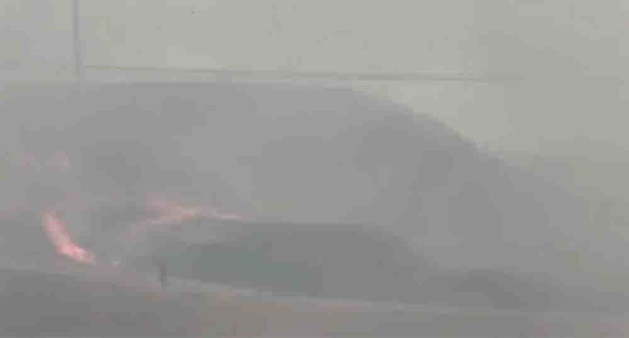 Burning wheat field in the Kaytag district of Dagestan. Frame from the video https://www.instagram.com/dagizvestiyaa/reel/DbgO3t8sMJ5 (the activities of Meta (owner of Facebook, Instagram, and WhatsApp) are banned in Russia) Burning wheat field in the Kaytag district of Dagestan. Frame from the video https://www.instagram.com/dagizvestiyaa/reel/DbgO3t8sMJ5 (the activities of Meta (owner of Facebook, Instagram, and WhatsApp) are banned in Russia)