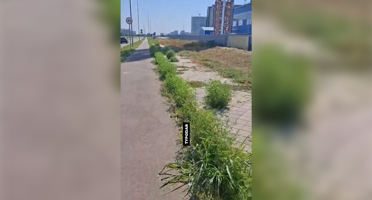Sidewalk in Novoznamenksy. Frame from the video https://t.me/typodar/62764