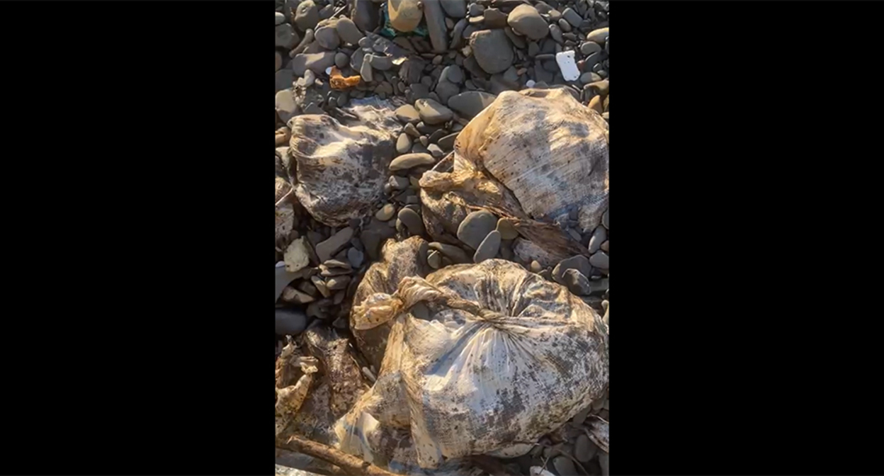 Bags of oil on the beach in Myskhako. Frame from the video https://t.me/evitishko/2707