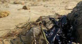 Fresh emissions. Screenshot from the "Dolphins" headquarters photo dated 20.10.26, https://t.me/shtab_delfin/3141.