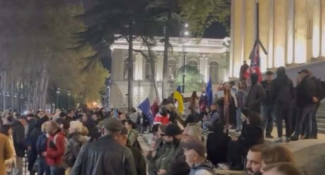 Demonstrators outside the Parliament of Georgia. Photo: Giorgi Mumladze Demonstrators outside the Parliament of Georgia. Photo: Giorgi Mumladze