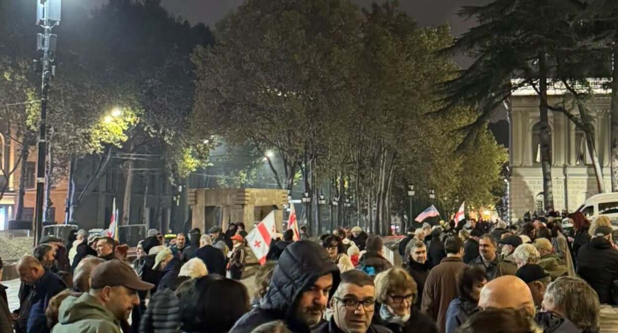 Demonstrators outside the Parliament of Georgia. Photo: Giorgi Mumladze